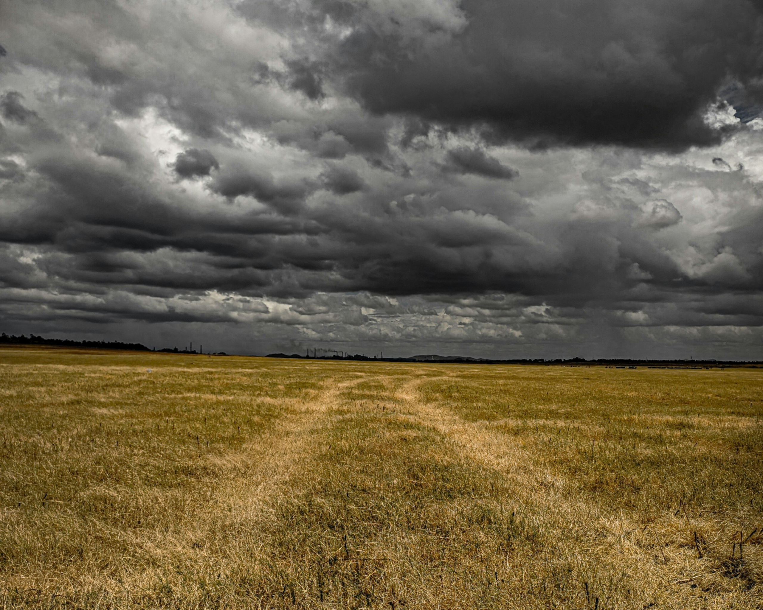 When life doesn’t turn out the way you hoped